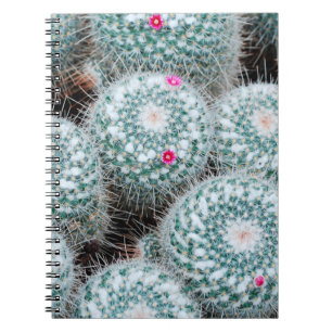 Caderno Espiral Plantas de Cactus com Flores Rosa Pequenas