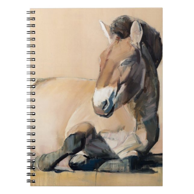 Caderno Espiral Platô Sun (Frente)