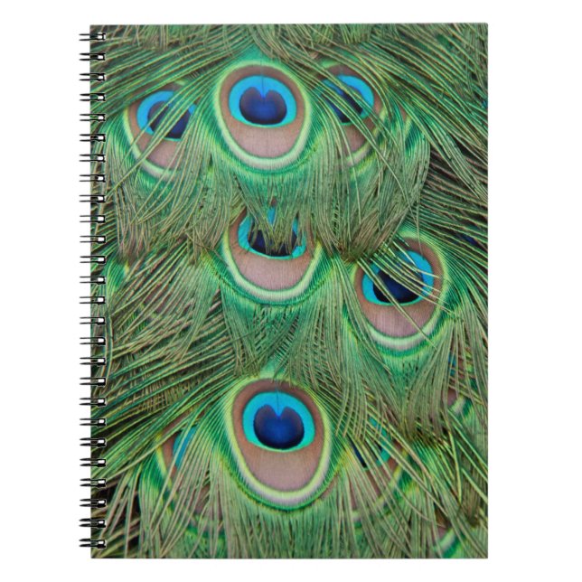 Caderno Espiral Plumagem de peacock (Frente)