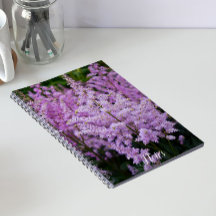 Plumas Florais Rosa Penugem de Astilbe