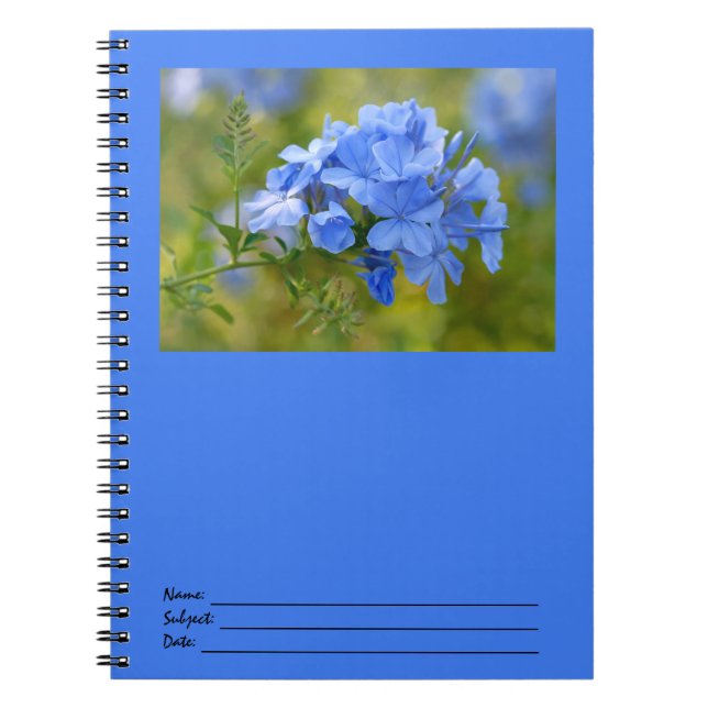 Caderno Espiral Plumbago - o verão azul floresce a imagem (Frente)