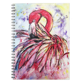 Caderno Espiral Plumes au rose
