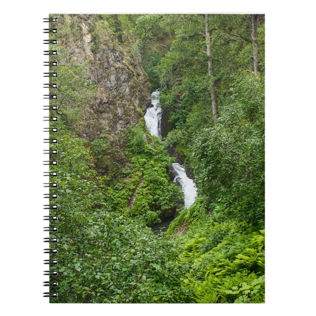 Caderno Espiral Plush Thunderbird Painterly (Frente)