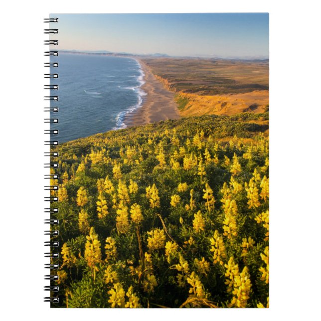 Caderno Espiral Point Reyes National Seashore California (Frente)