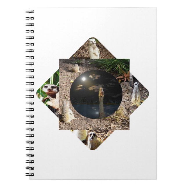 Caderno Espiral Poliescopio de suricata,  (Frente)