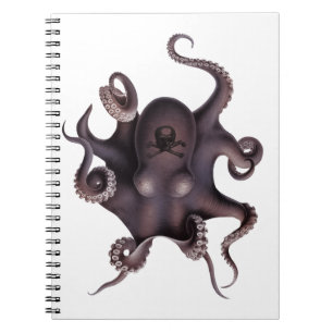 Caderno Espiral Polvo roxo