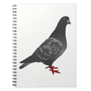 Caderno Espiral Pombo