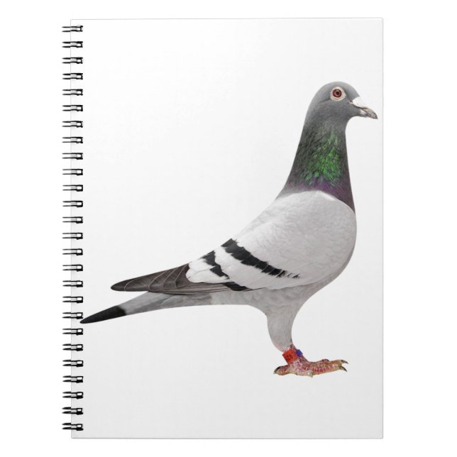 Caderno Espiral pombo design (Frente)