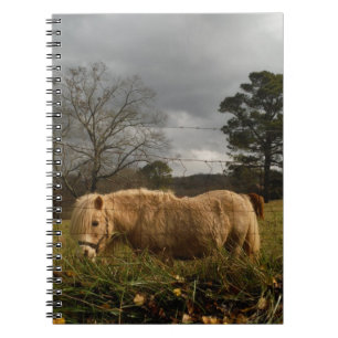 Caderno Espiral Pônea Loura Miniatura / Cavalo