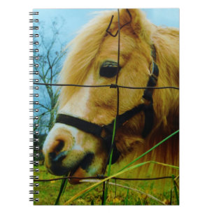 Caderno Espiral Pônea Loura Miniatura / Céu Azul Cavalo