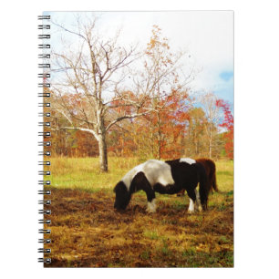 Caderno Espiral Pônei/cavalo diminutos preto e branco
