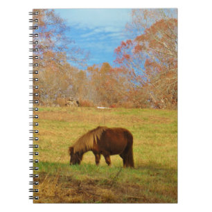 Caderno Espiral Pônei da miniatura de Brown