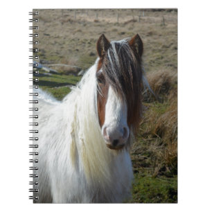 Caderno Espiral Pônei doce de Connemera