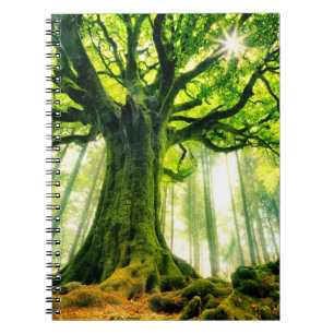 Caderno Espiral Ponthus' Beech