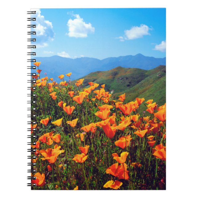 Caderno Espiral Poppies da Califórnia cobrindo uma encosta (Frente)