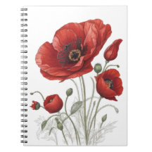 Poppies vermelhos