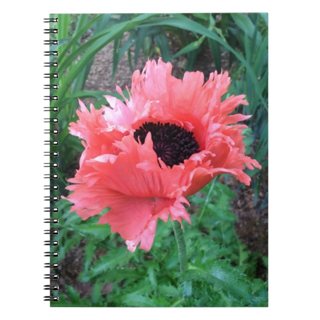 Caderno Espiral POPPY "Pink Ruffles" — (Frente)