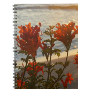 Caderno Espiral Por do sol florido da praia