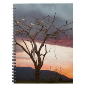Caderno Espiral Pôr do sol no pântano de Kandheri com colhereiros 