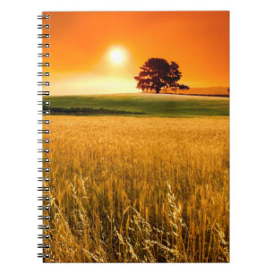 Caderno Espiral Por do sol vermelho-sangue