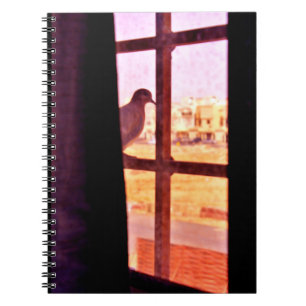 Caderno Espiral Porta Curiosa