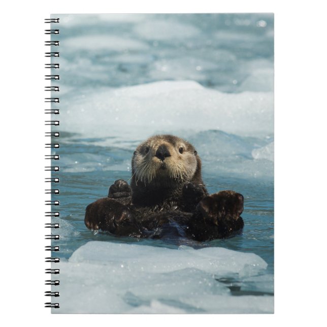 Caderno Espiral Porta flutuante (Frente)