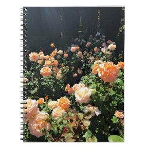 Caderno Espiral Portland Rosa Garden, OR