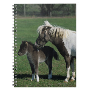 Caderno Espiral Posição diminuta da égua & do potro