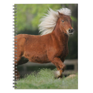 Caderno Espiral Posição diminuta do cavalo