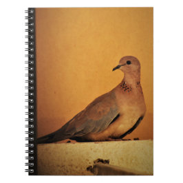 Caderno Espiral Posicionamento Paciente