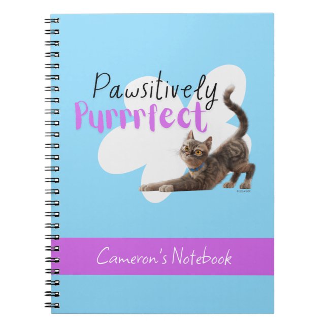 Caderno Espiral Positivamente Perfeito (Frente)
