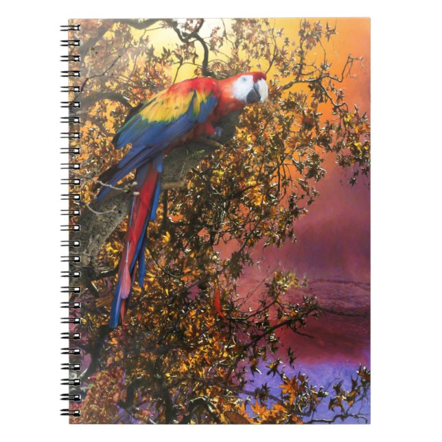 CADERNO ESPIRAL POST DE SAÍDA DA MÁQUIA PARROT (Frente)