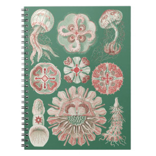 Caderno Espiral Pôster Verde de Água-viva Rosa da Vida Marinha de