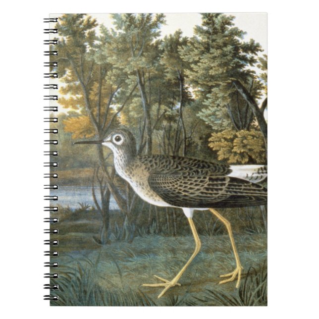 Caderno Espiral Pouco Yellowlegs (Frente)