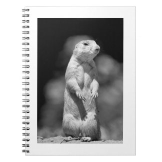 Caderno Espiral Pradaria Dog#1-Notebook
