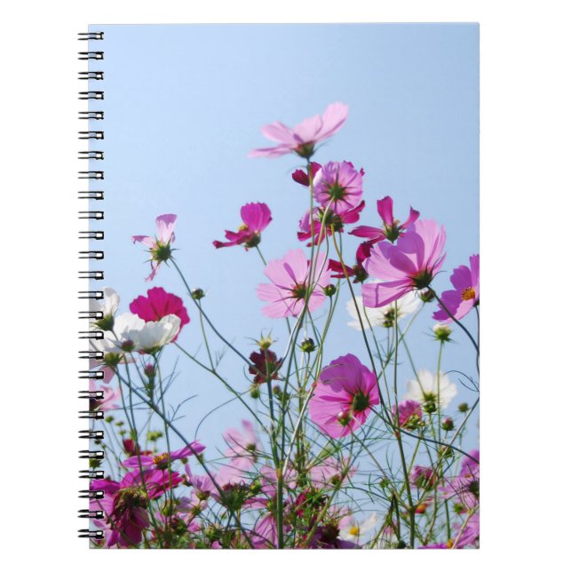 Caderno Espiral Prado cor-de-rosa (Frente)