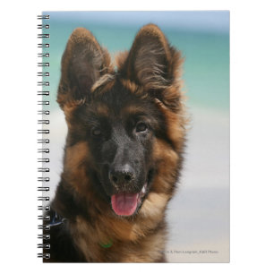 Caderno Espiral Praia de cabelos compridos do german shepherd