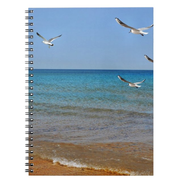 Caderno Espiral Praia e gaivotas (Frente)