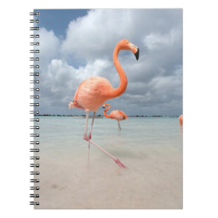 Caderno Espiral Praias Tropicais Flamingos Beach, Aruba