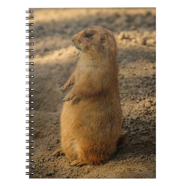 Caderno Espiral Prairie Dog Notebook (Frente)