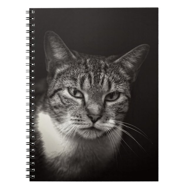 CADERNO ESPIRAL PRATA TABBY CAT (Frente)