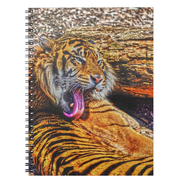 Caderno Espiral Preening Sumatran Tiger Big Cat Willife Art (Frente)