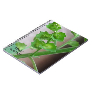 CADERNO ESPIRAL PRESENTE PARA AMOR NATURAL COM FLORES