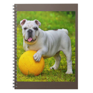 Caderno Espiral Presente para Lover-in-touro de Bulldog de Basquet