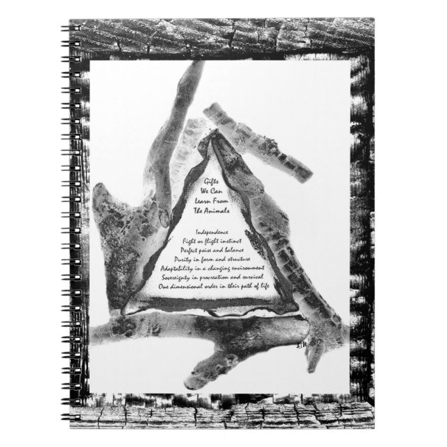 Caderno Espiral Presentes De Animais (Frente)