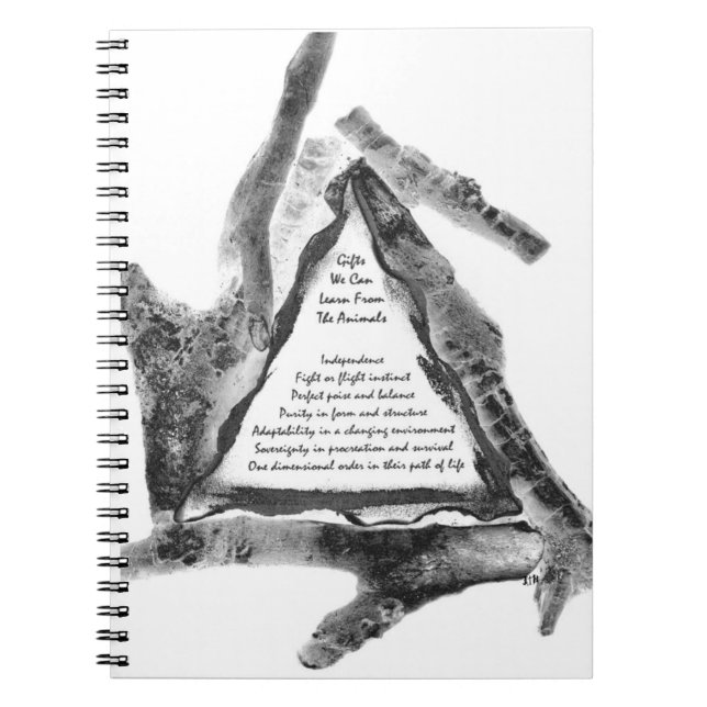 Caderno Espiral Presentes De Animais (Frente)