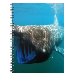 Caderno Espiral Presentes De Destino Do Oceano Tropical De Peixes 