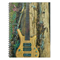 Presentes para um guitarrista músico