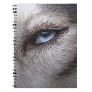 Caderno Espiral Presentes roncos & livros do rouco Siberian do
