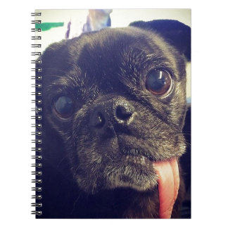 Caderno Espiral Preto